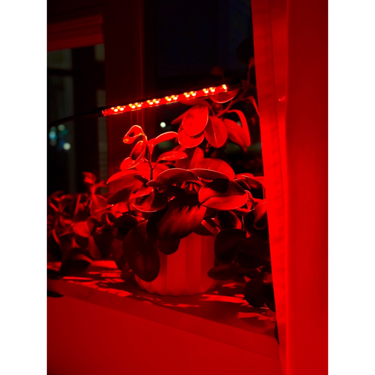 Lampa Led Do Wzrostu Roślin 20 Diod Timer 9 W Uprawa Roślin Do Domu Bez Zasilacza Sieciowego