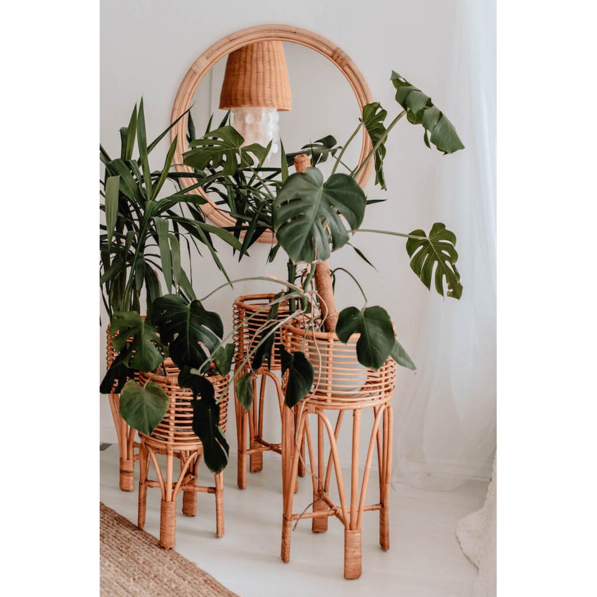 KWIETNIK POLLIE S NATURALNY