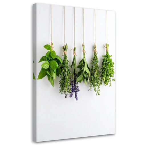 Obraz do kuchni jadalni, Zioła przyprawy 80x120