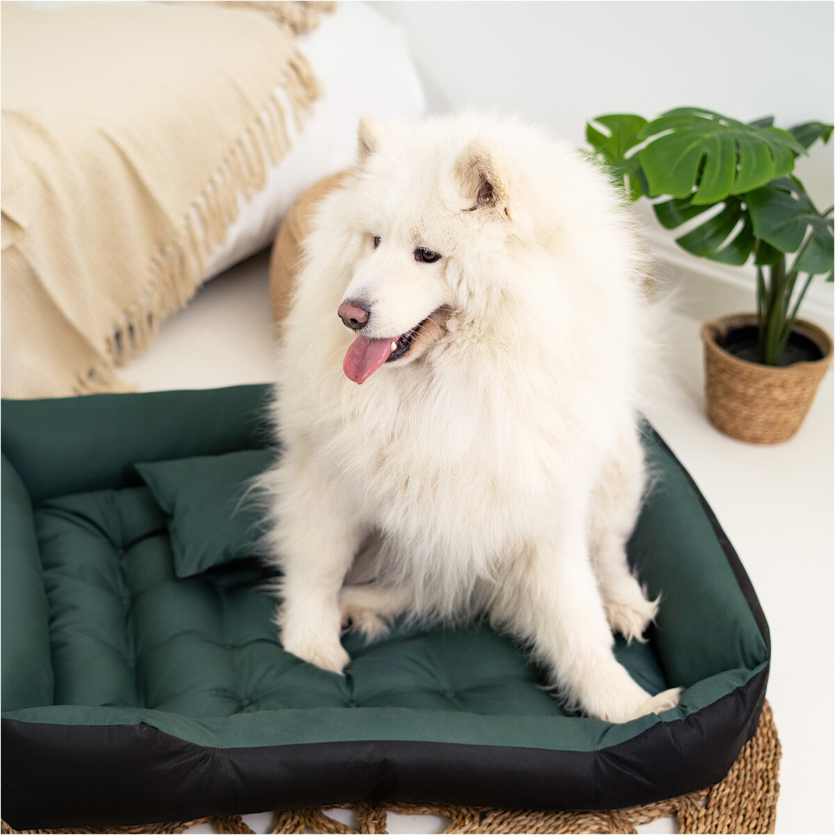 Legowisko Dla Psa Wodoodporne Posłanie Kanapa Sofa 130X105 Cm Zielone