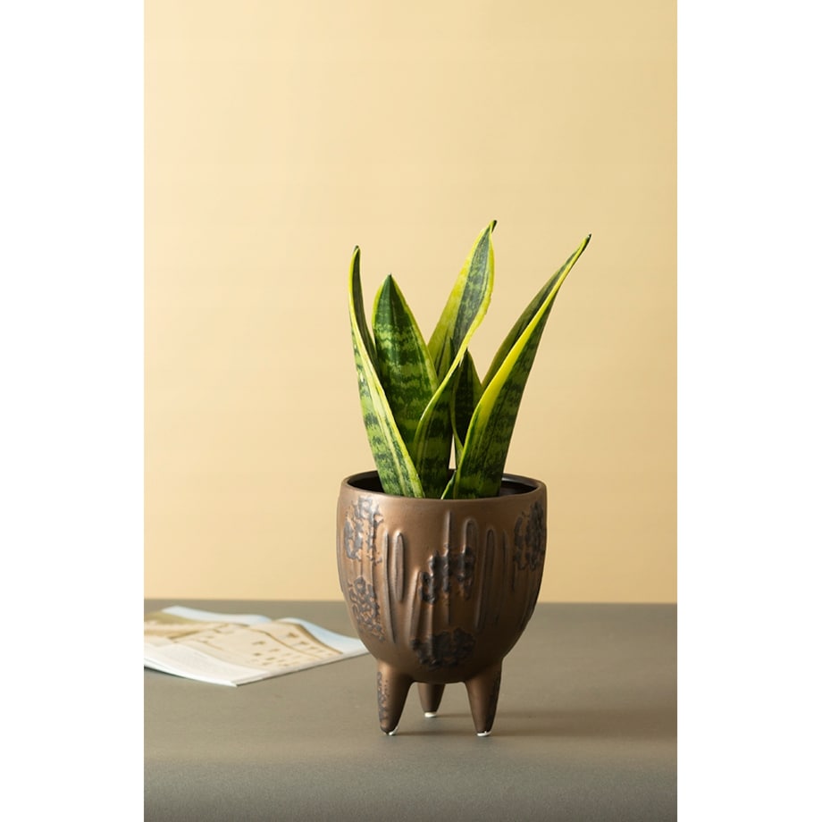 DONICA IRMA brązowa ceramiczna śr. 15cm