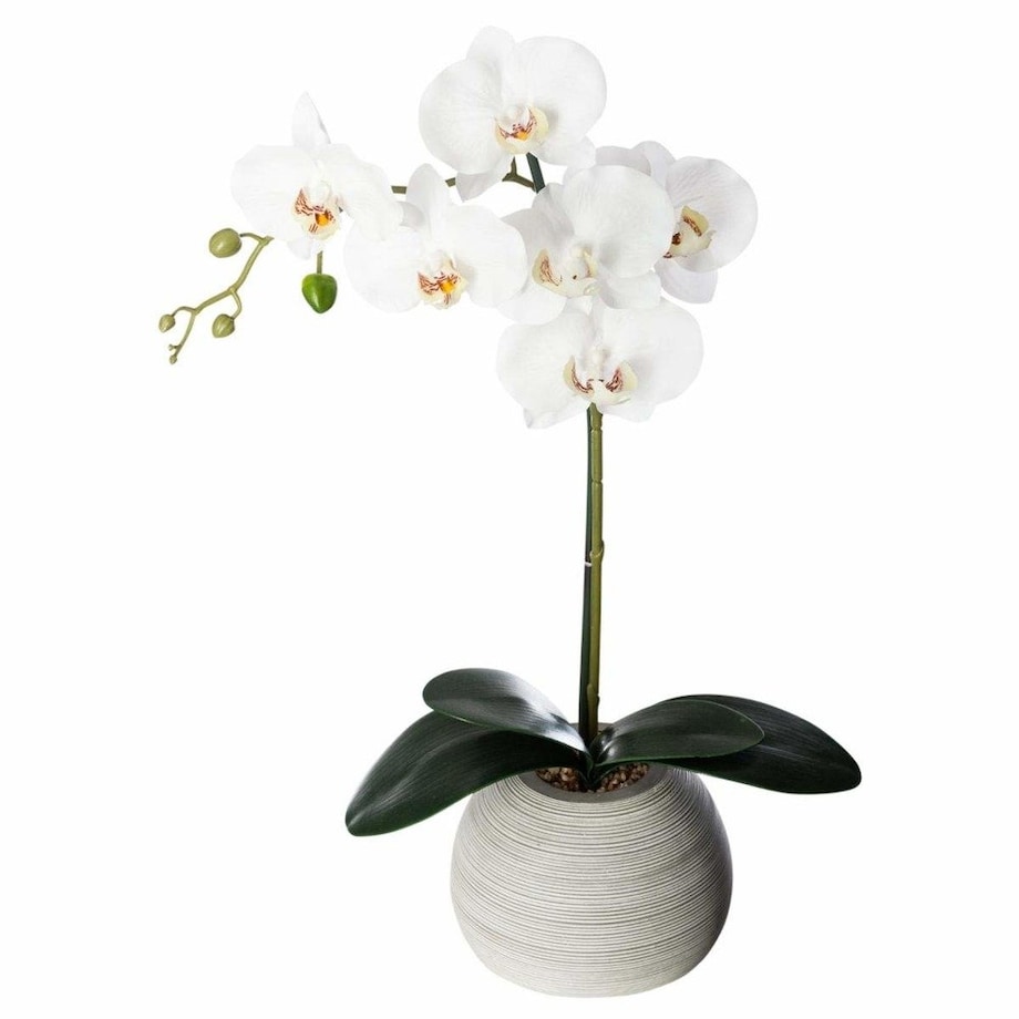 Sztuczny storczyk w doniczce ceramicznej, 50 cm