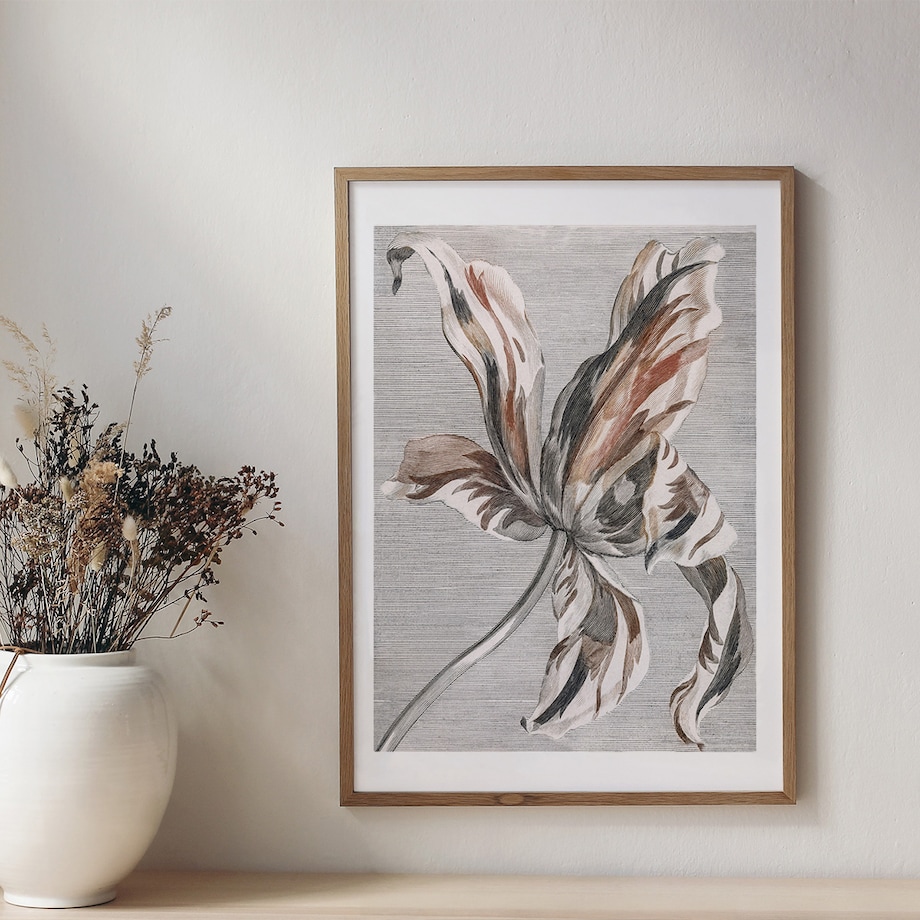 Plakat Tulipan 30x40cm