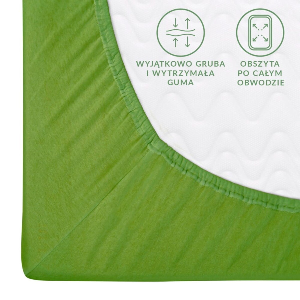 Prześcieradło jersey z gumką 160x200 kolor Kaktus