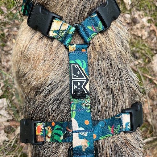 Szelki guard Stay on "Psikolaż" - Szerokość taśmy: 20mm, Rozmiar: S