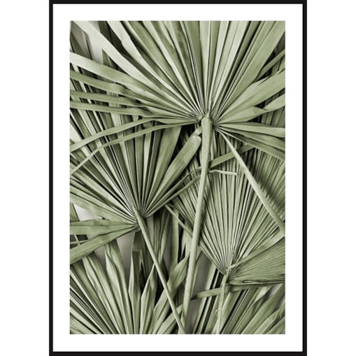 Poster Story, Plakat, Obraz - Zielone Liście Palmy, wymiary 60 x 84 cm