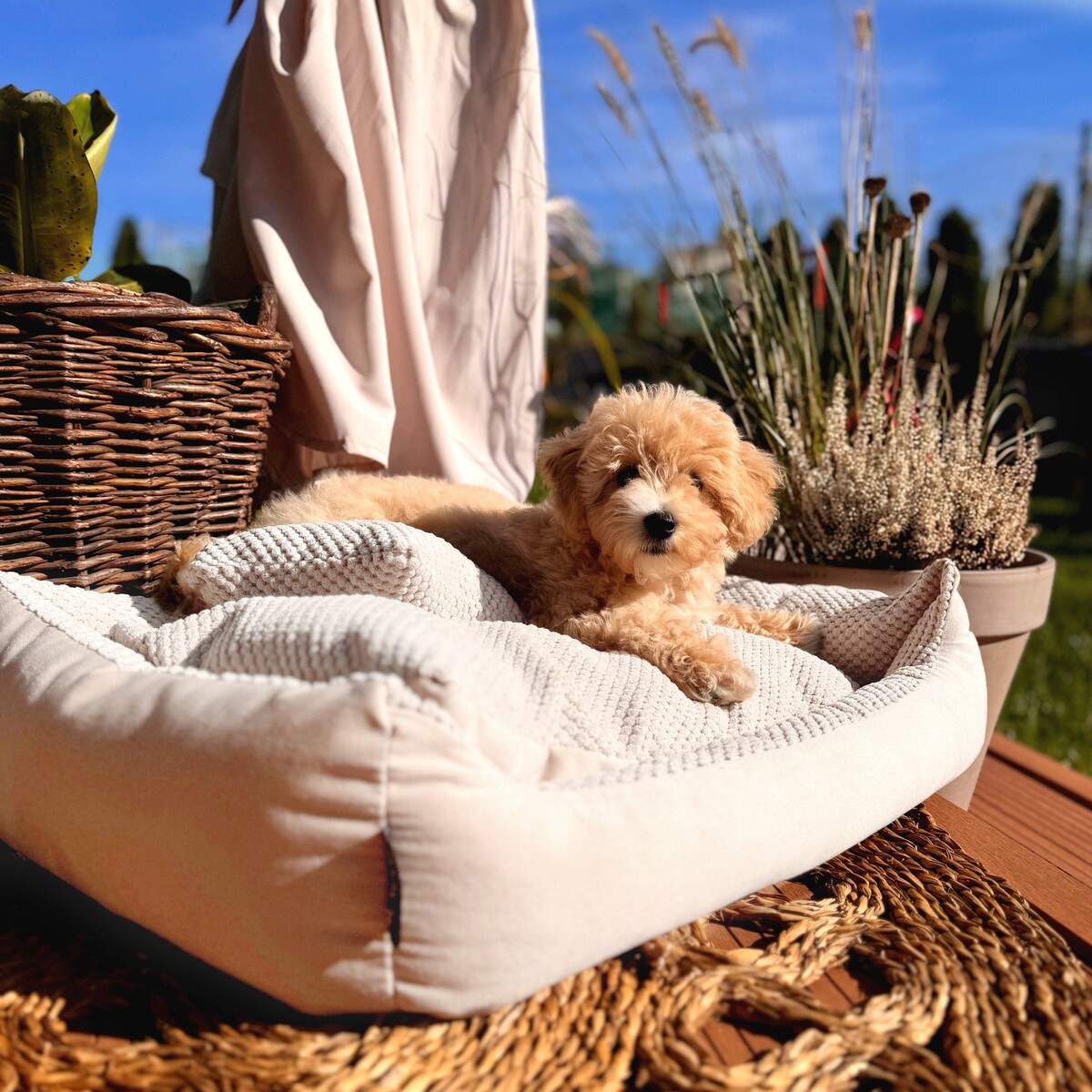 Przytulne legowisko dla psa TEO, 100x80 cm, Beż