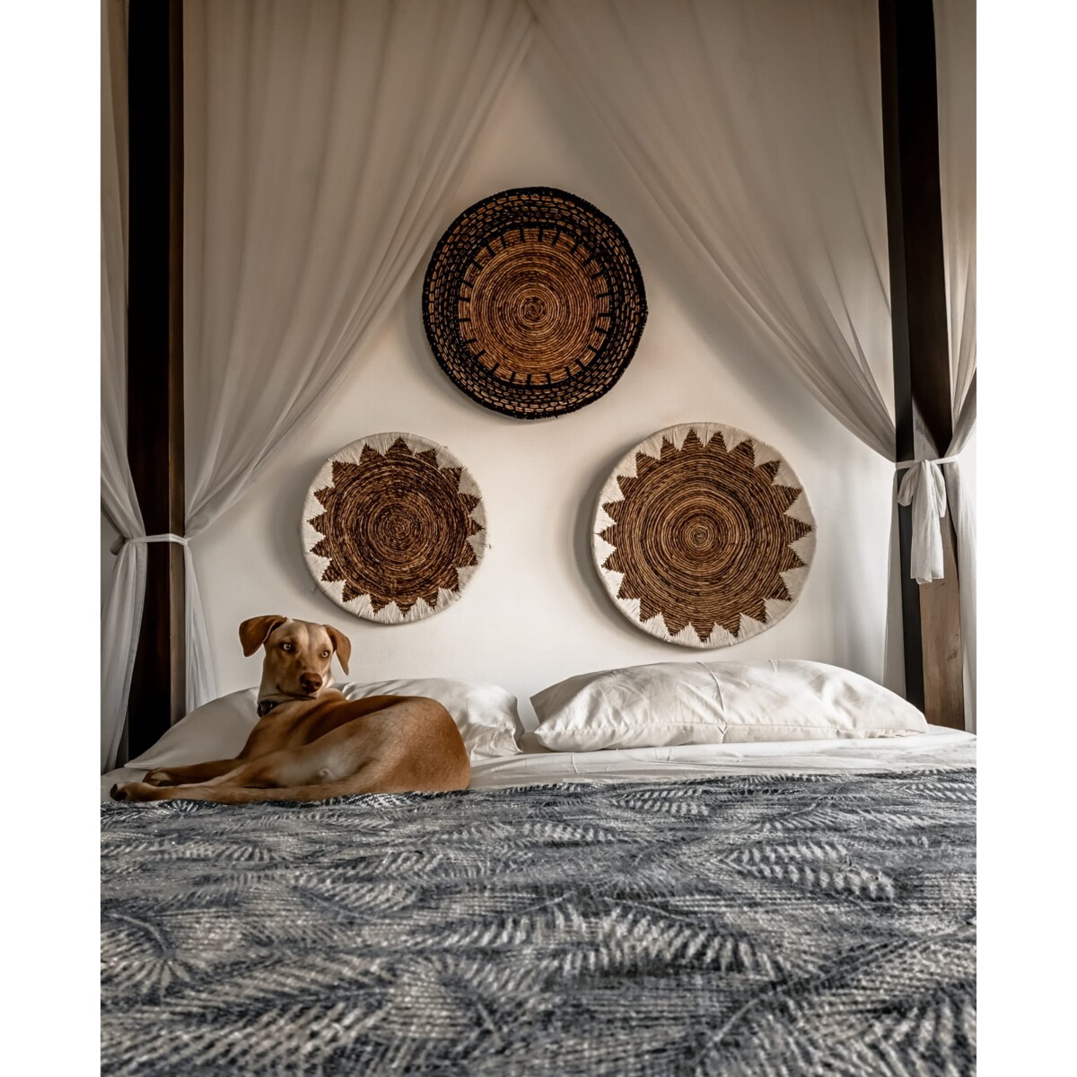 TALERZ Z BANANOWCA CZARNY S