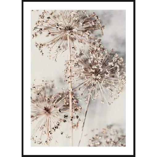 Poster Story, Plakat, Obraz - Suszony Czosnek Ozdobny, wymiary 60 x 84 cm