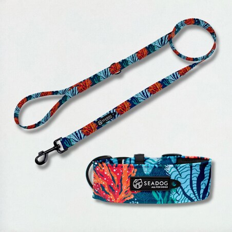 Zestaw: smycz i szeroka obroża, rozmiar L