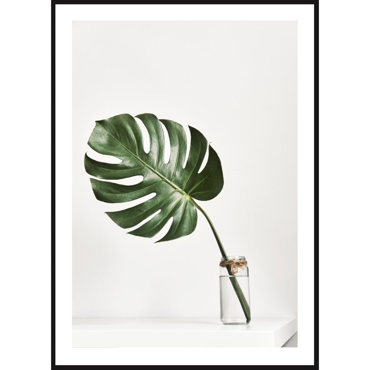 Poster Story, Plakat, Obraz - Monstera w Szklanym Wazonie, wymiary 60 x 84 cm