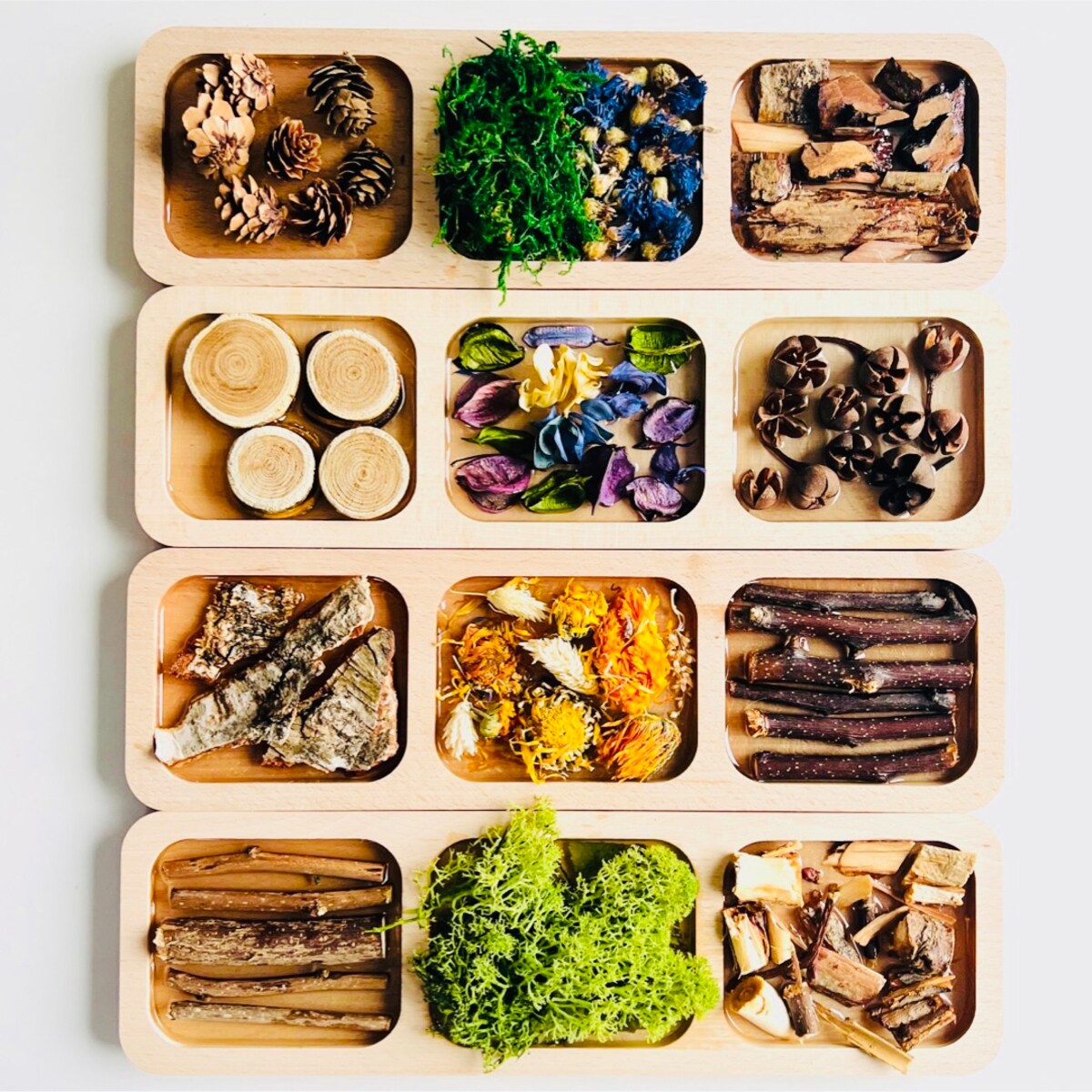 Dyski sensoryczne LEŚNA ŚCIEŻKA