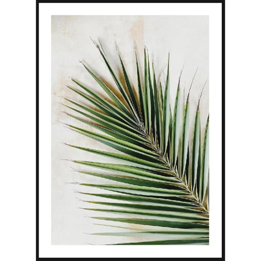 Poster Story, Plakat, Obraz - Zielona Gałązka Iglasta, wymiary 30 x 42 cm