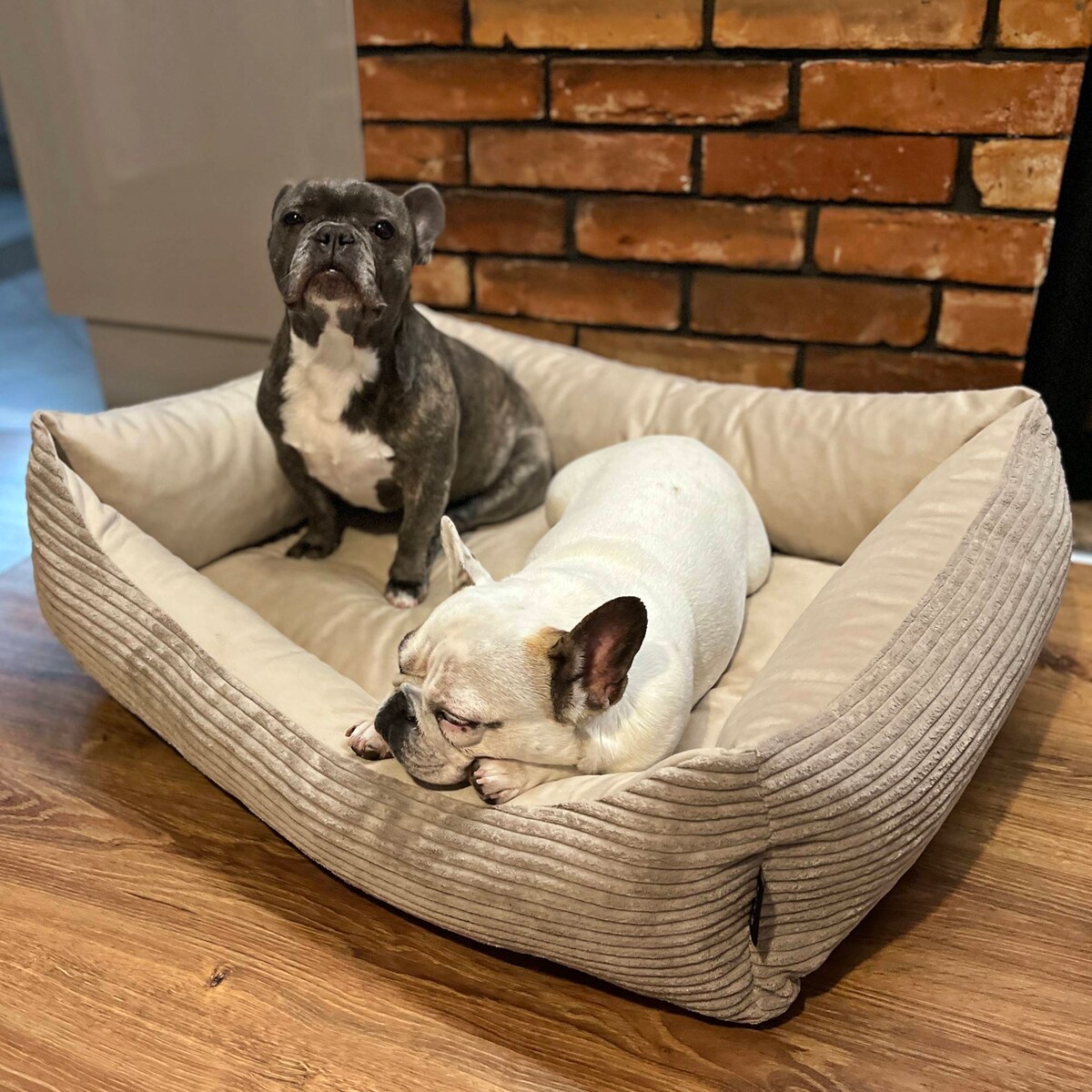 Sztruksowe legowisko dla psa MOLLY, 60x40 cm, Beż