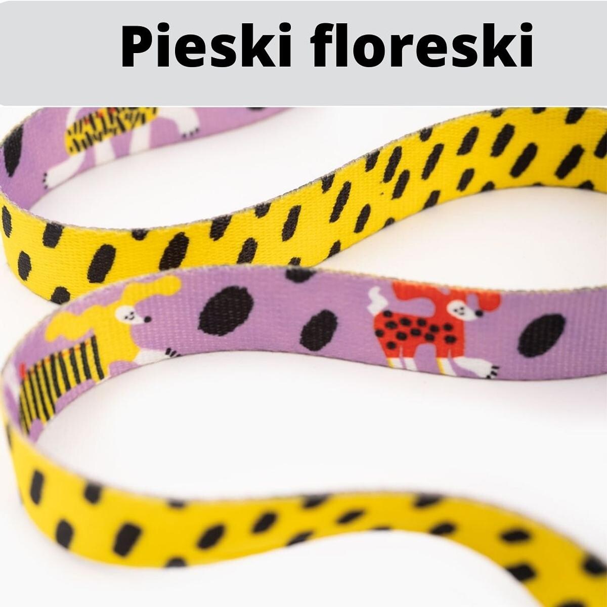 Pas samochodowy dla 2 psów - Szerokość taśmy: 20mm