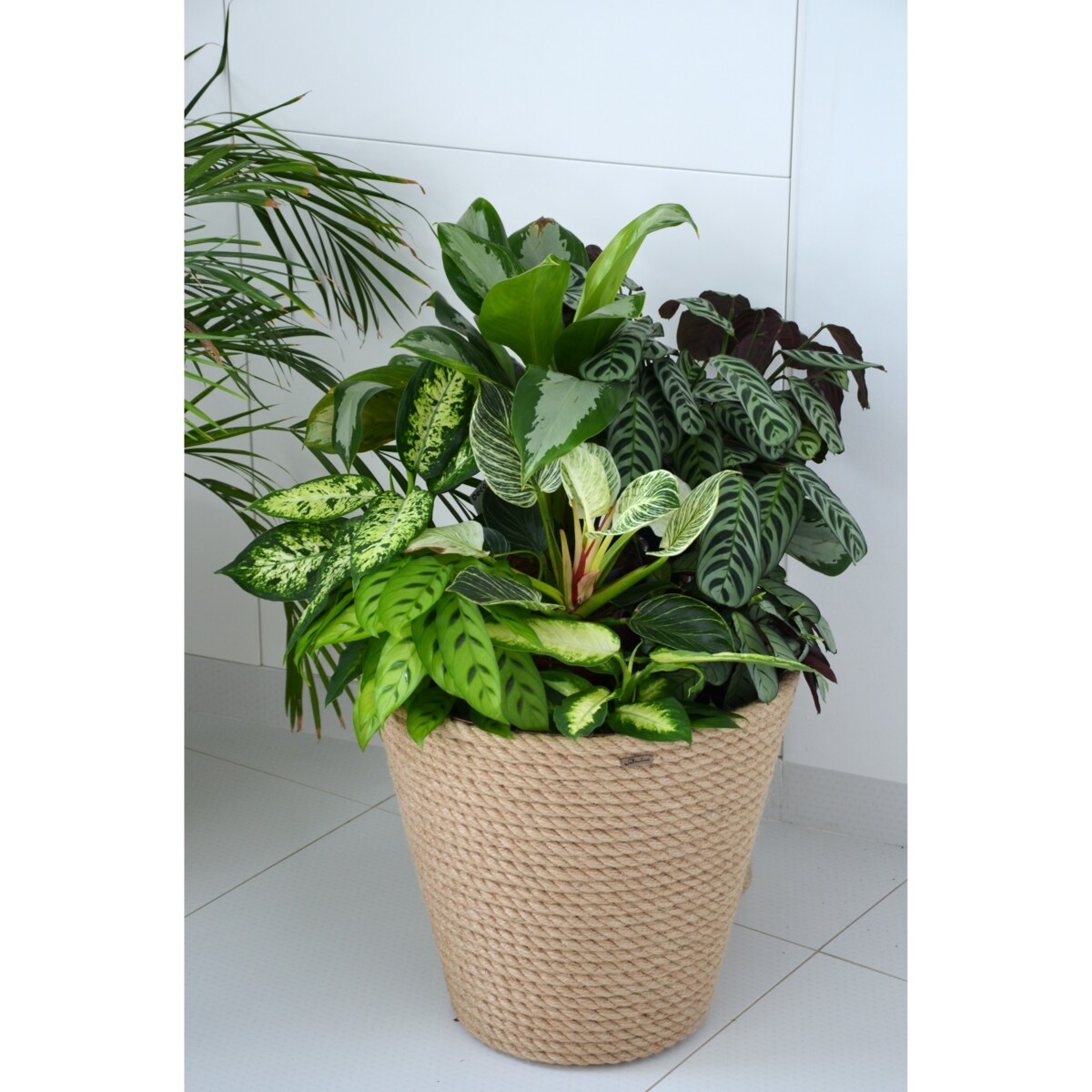 43 BOHO jutowa duża szeroka osłonka na doniczkę koszyk naturalna lina z trawy plecionej JUTA styl skandynawski etno loft wzór 43/210