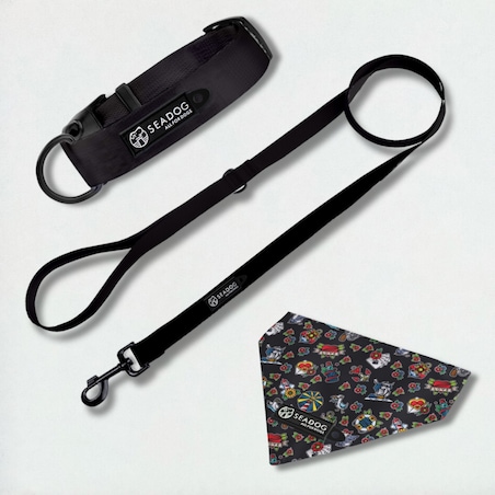 Zestaw: smycz, obroża i bandana, rozmiar M