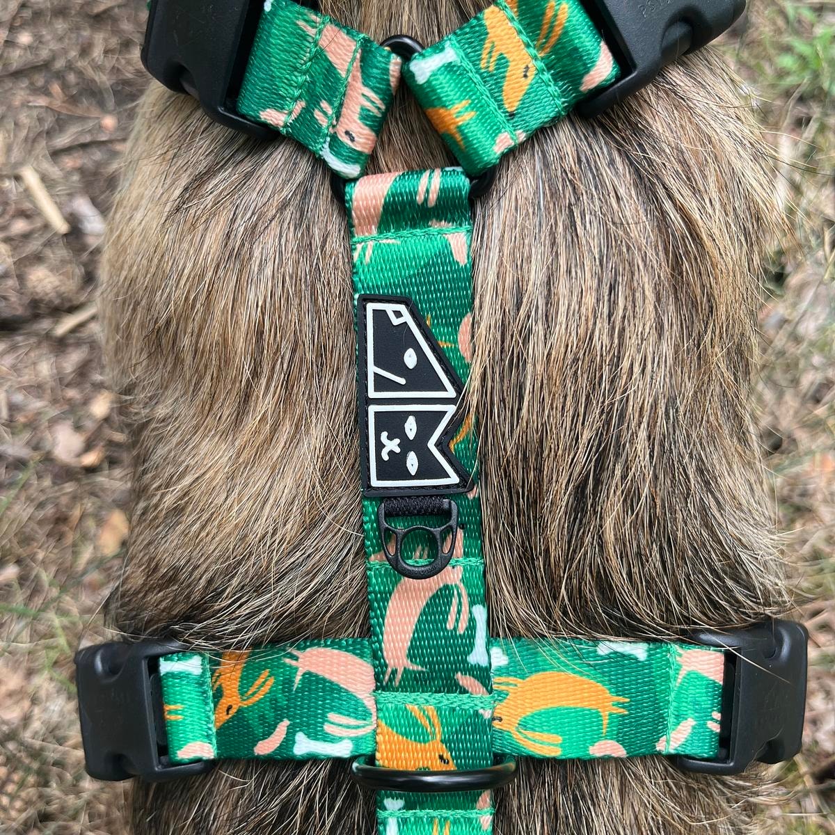 Szelki guard Stay on "Psy na jawie" - Szerokość taśmy: 25mm, Rozmiar: XL