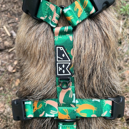 Szelki guard Stay on "Psy na jawie" - Szerokość taśmy: 25mm, Rozmiar: XL