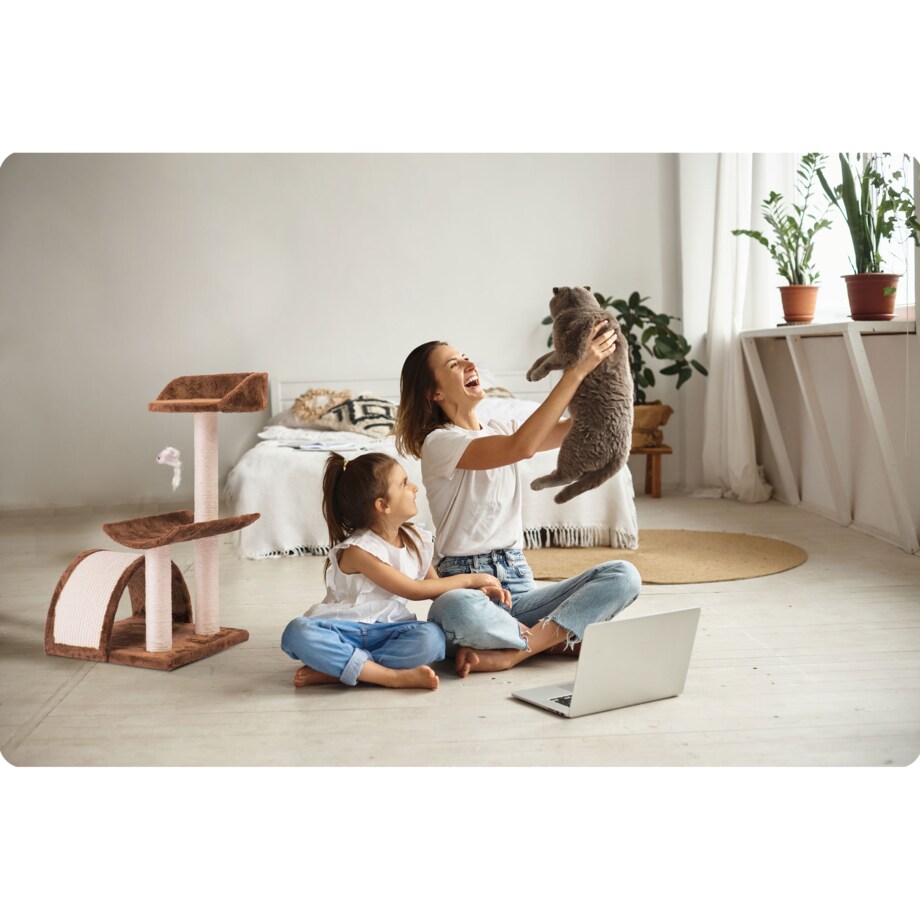 Drapak dla kota domek legowisko 58 cm Pethaus