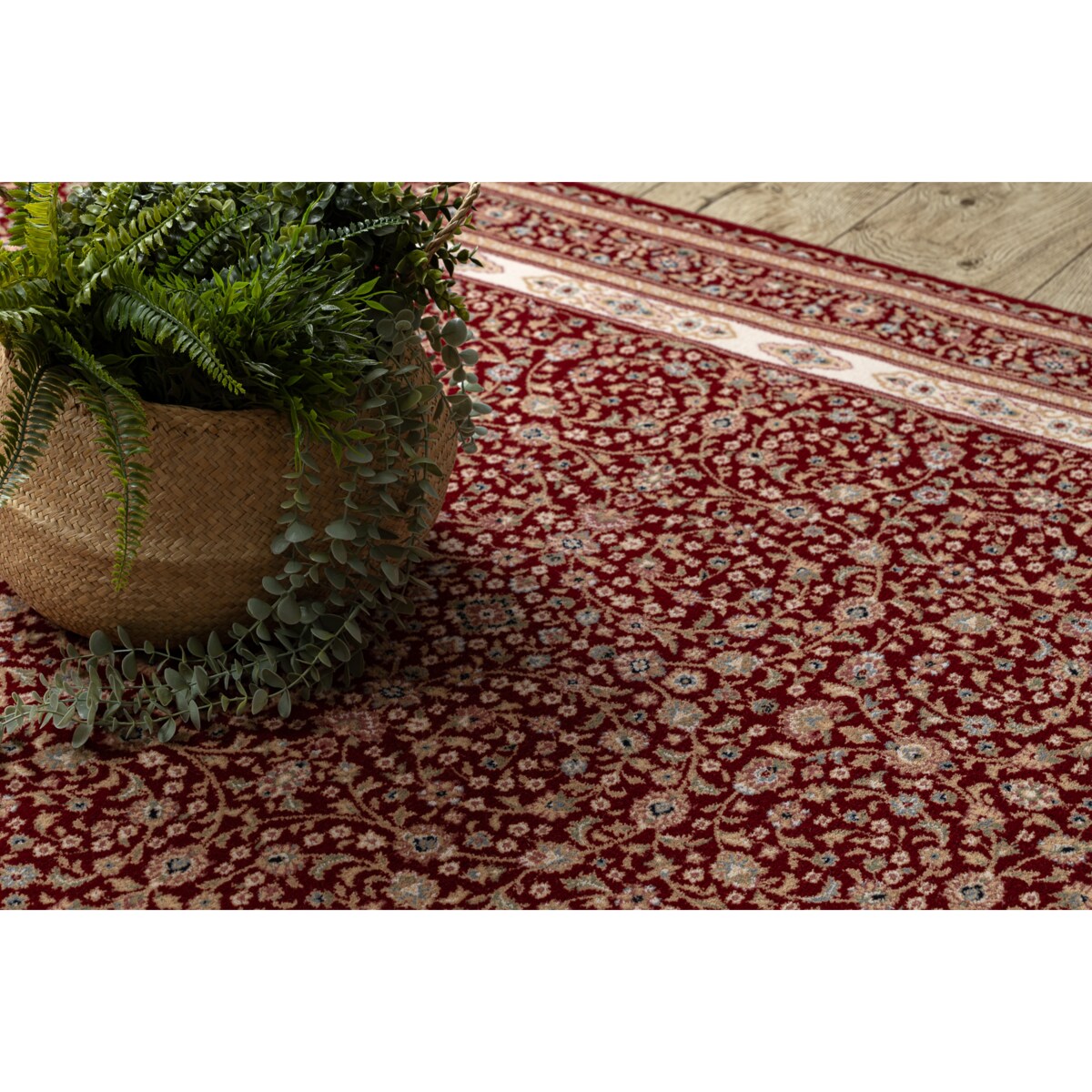 Dywan NAIN Ornament, ramka 7965/51066 bordo / 200x300 cm