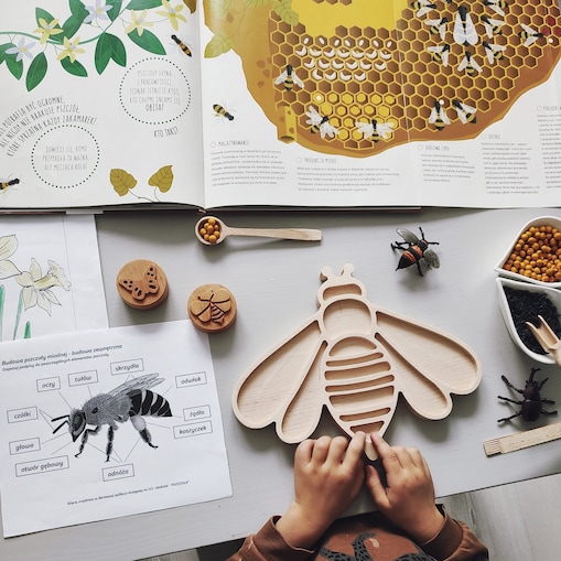 Wysypywanka sensoryczna Pszczoła