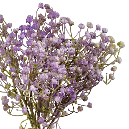 Sztuczna gipsówka VIRIDIS