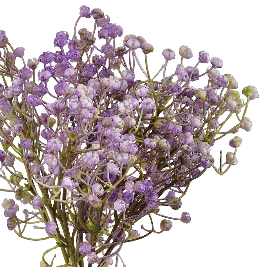 Sztuczna gipsówka VIRIDIS