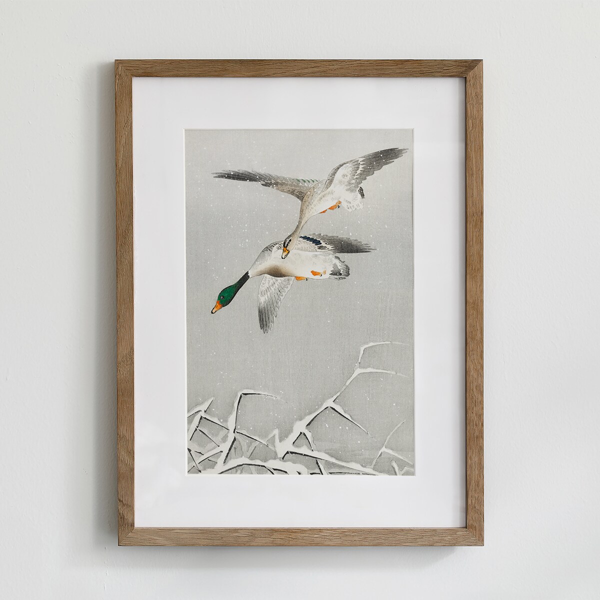 Plakat Kaczki w Locie 30x40cm