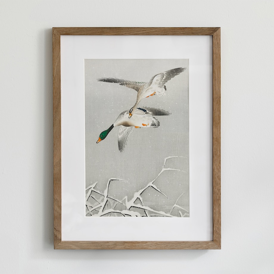 Plakat Kaczki w Locie 30x40cm