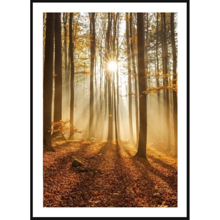 Poster Story, Plakat, Obraz - Las Jesienny, wymiary 42 x 60 cm