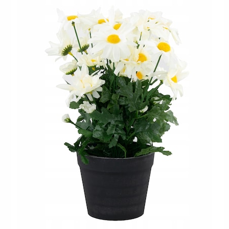 SZTUCZNE STOKROTKI W DONICZCE