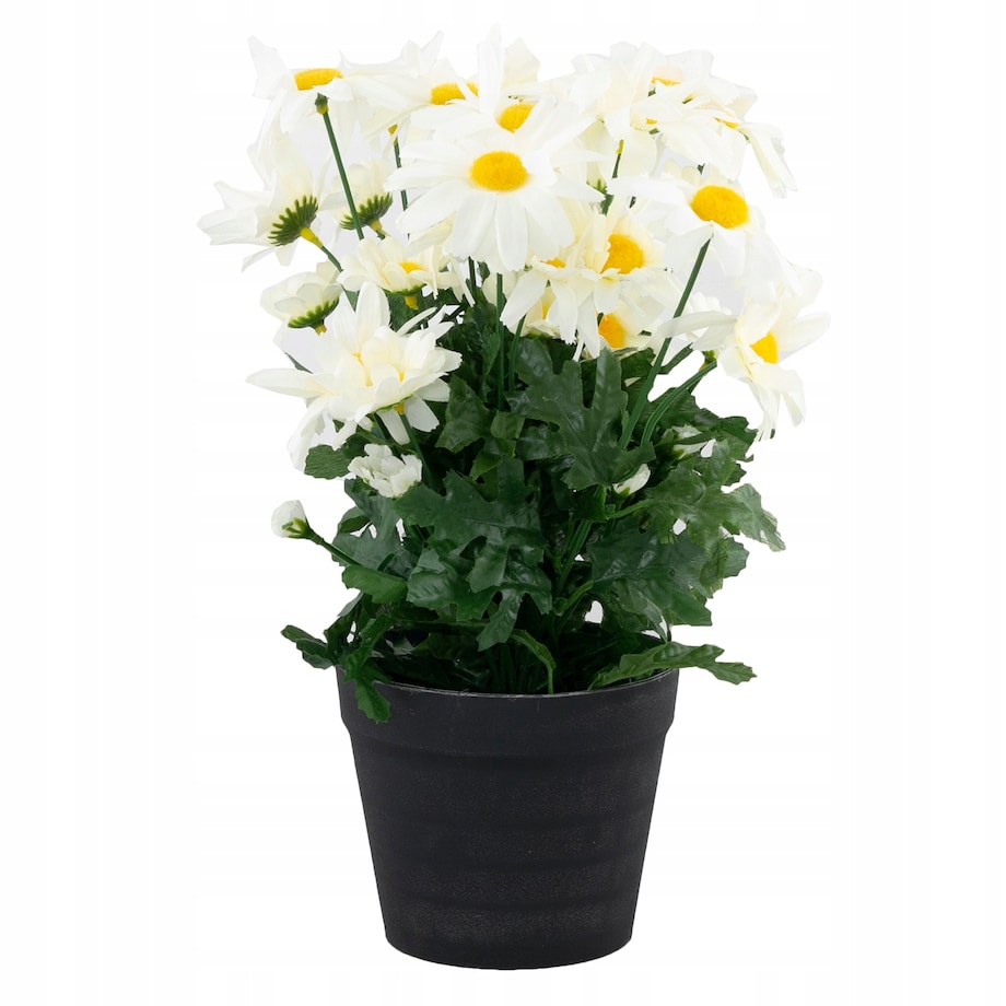 SZTUCZNE STOKROTKI W DONICZCE