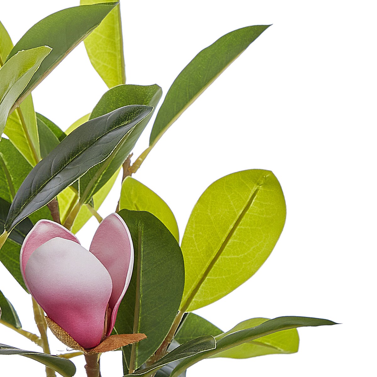 Sztuczna roślina MAGNOLIA 70 cm Zielony