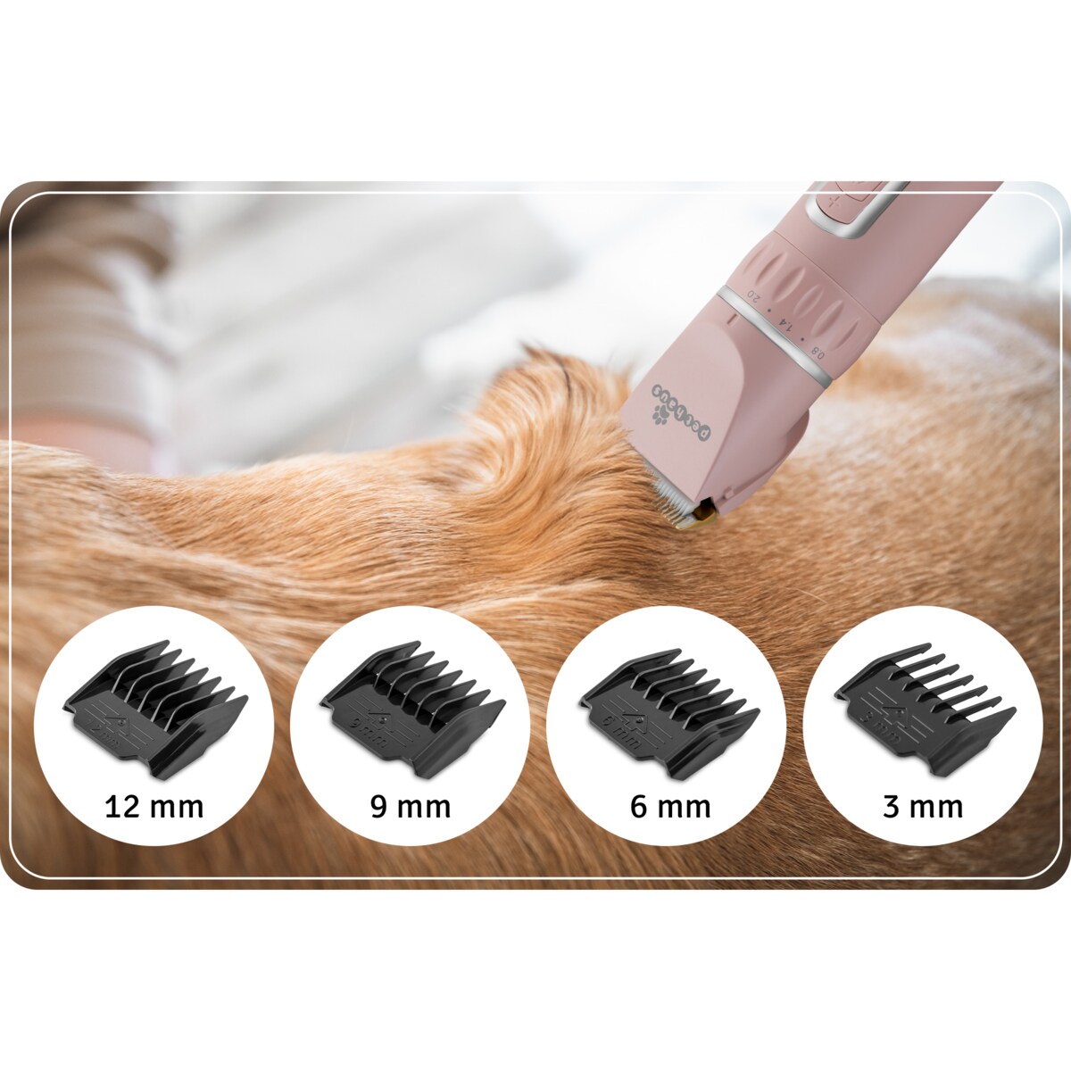 Maszynka do strzyżenia zwierząt profesjonalna zestaw Pethaus