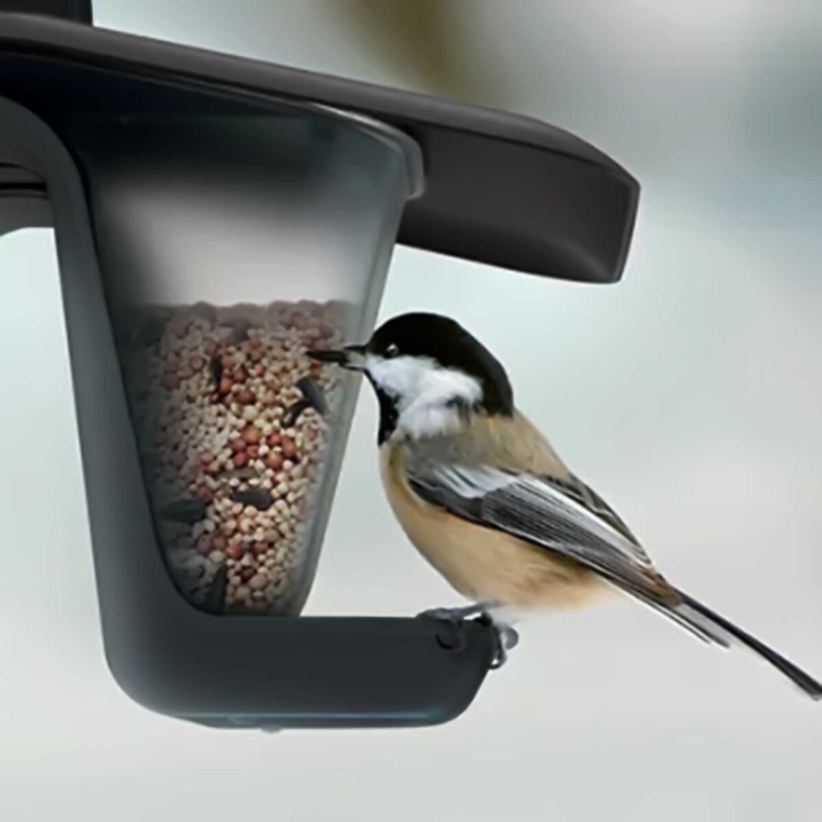 Karmnik Dla Ptaków 27X18 Cm Stojący Wiszący Plastikowy Podwójny Budka