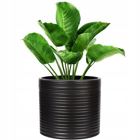 DONICZKA CERAMICZNA CZARNA CYLINDER 13cm do salonu domu na balkon bonsai
