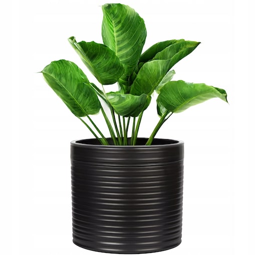 DONICZKA CERAMICZNA CZARNA CYLINDER 13cm do salonu domu na balkon bonsai