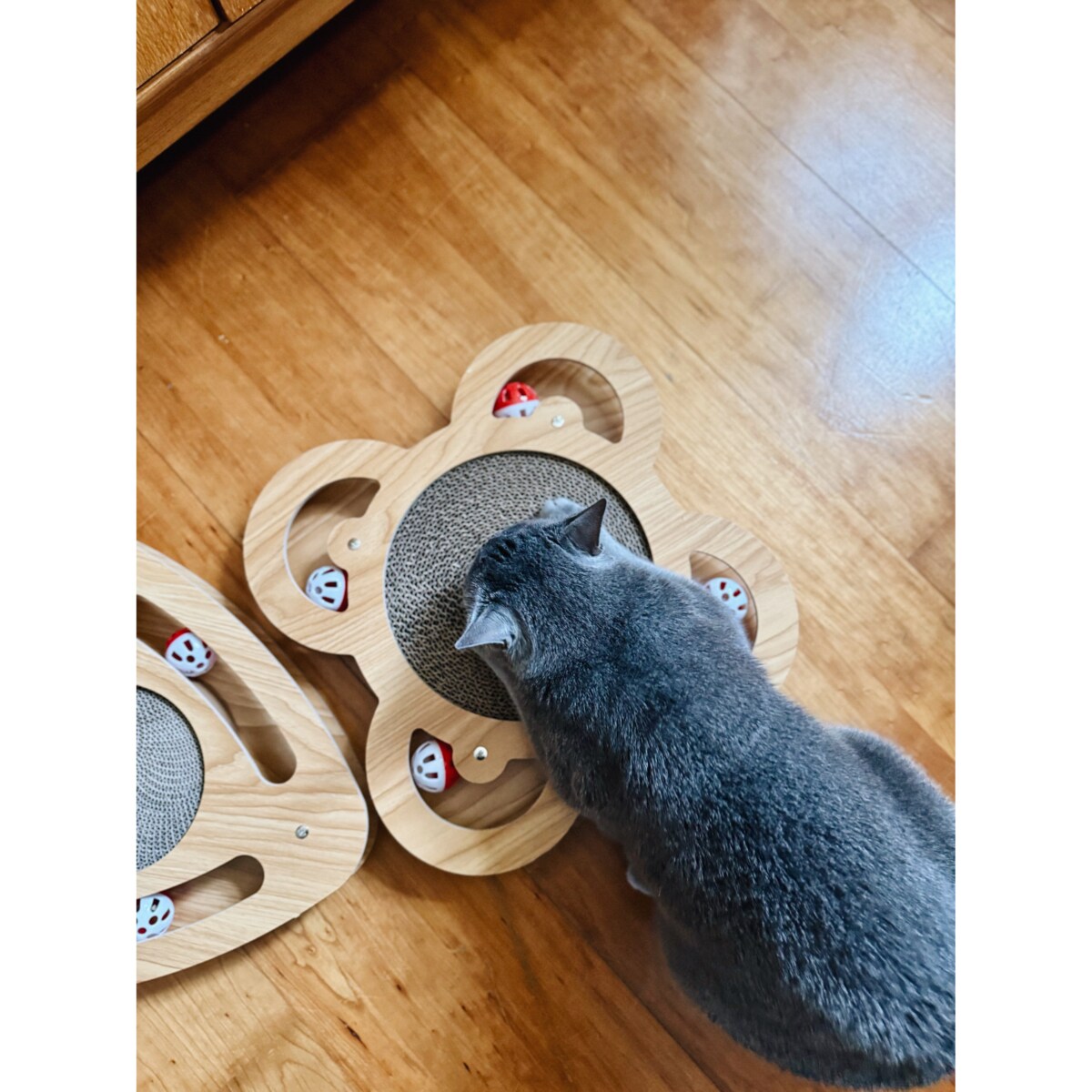 Drapak dla kota tekturowy kartonowy legowisko zabawka