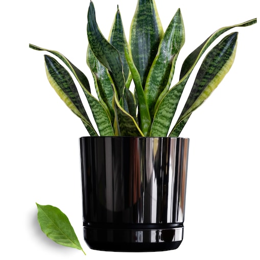 21 cm wzór CZARNY BŁYSZCZĄCY Doniczka z podstawką nowoczesna glamour efekt lustra black wysoki połysk metaliczna elegancka