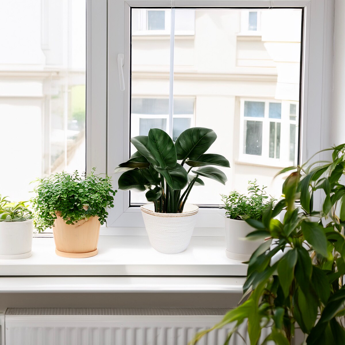 DONICZKA BIAŁA DUŻA 23cm boho na balkon taras osłonka do domu kaktusów