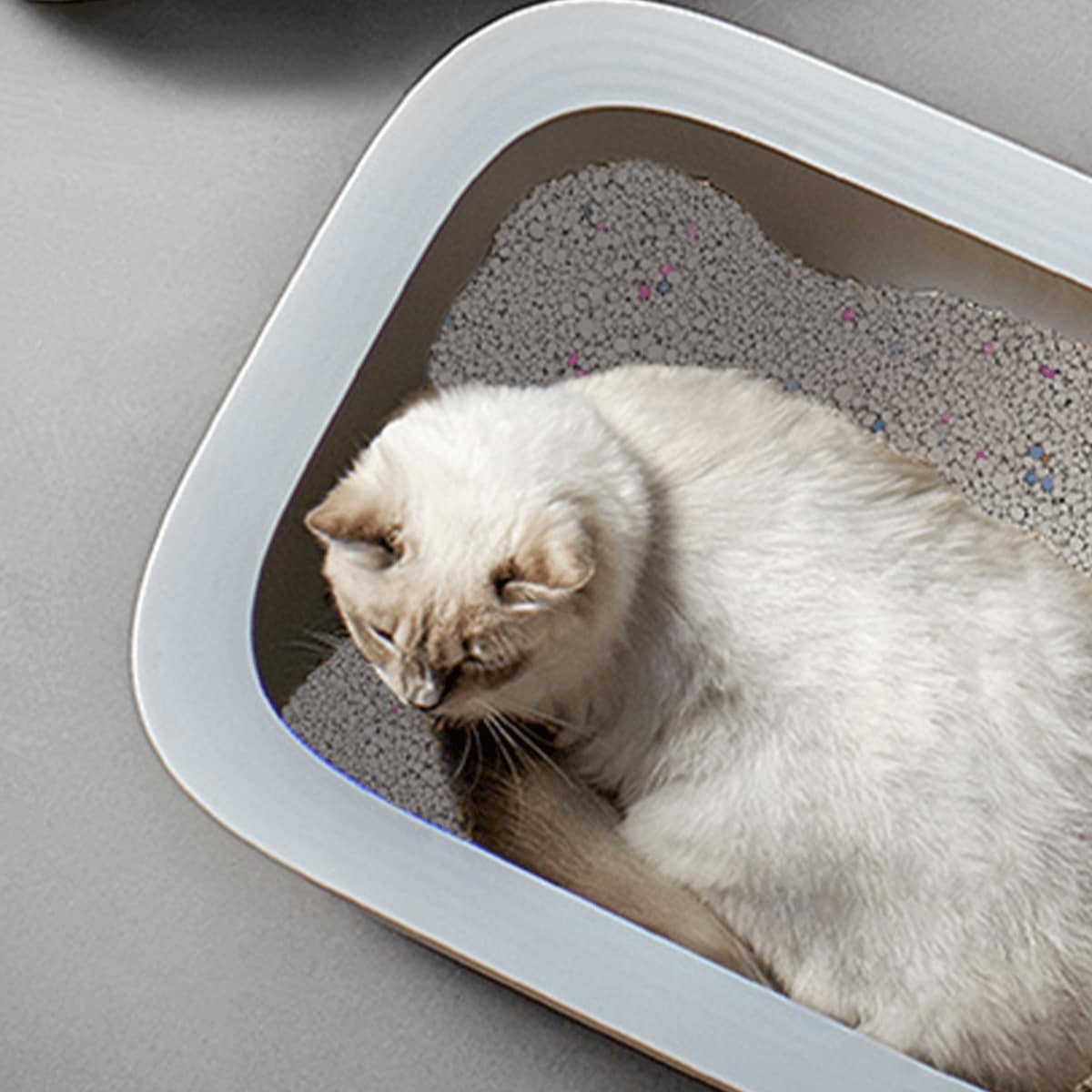 bentonitowy żwirek dla kota o zapachu cytrynowym 3,2 kg 3.8 l