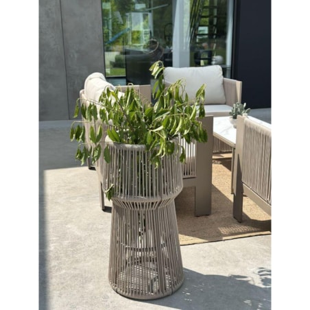 KWIETNIK TYZIANO SZAMPAŃSKI