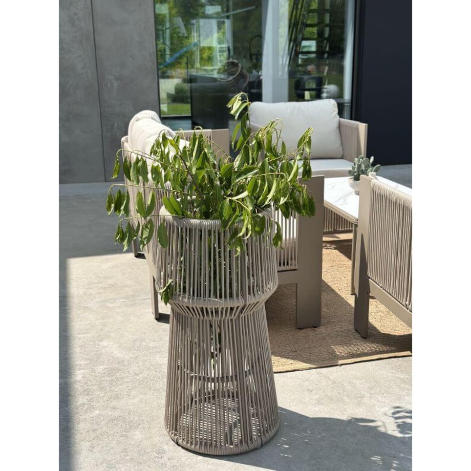 KWIETNIK TYZIANO SZAMPAŃSKI