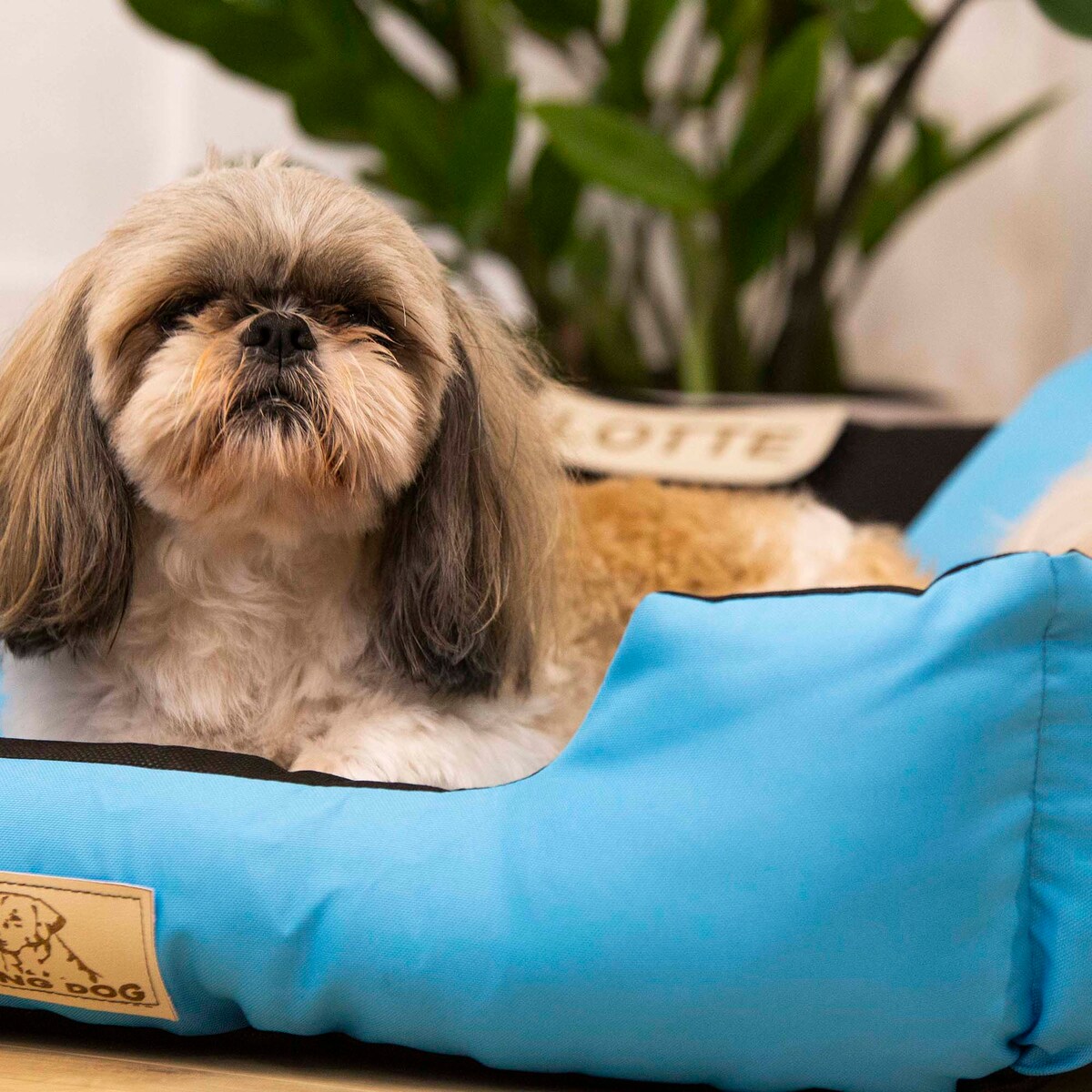 Legowisko Dla Dużego Psa 145X115 Cm Posłanie Kanapa Z Miejscem Na Imię Wodoodporne