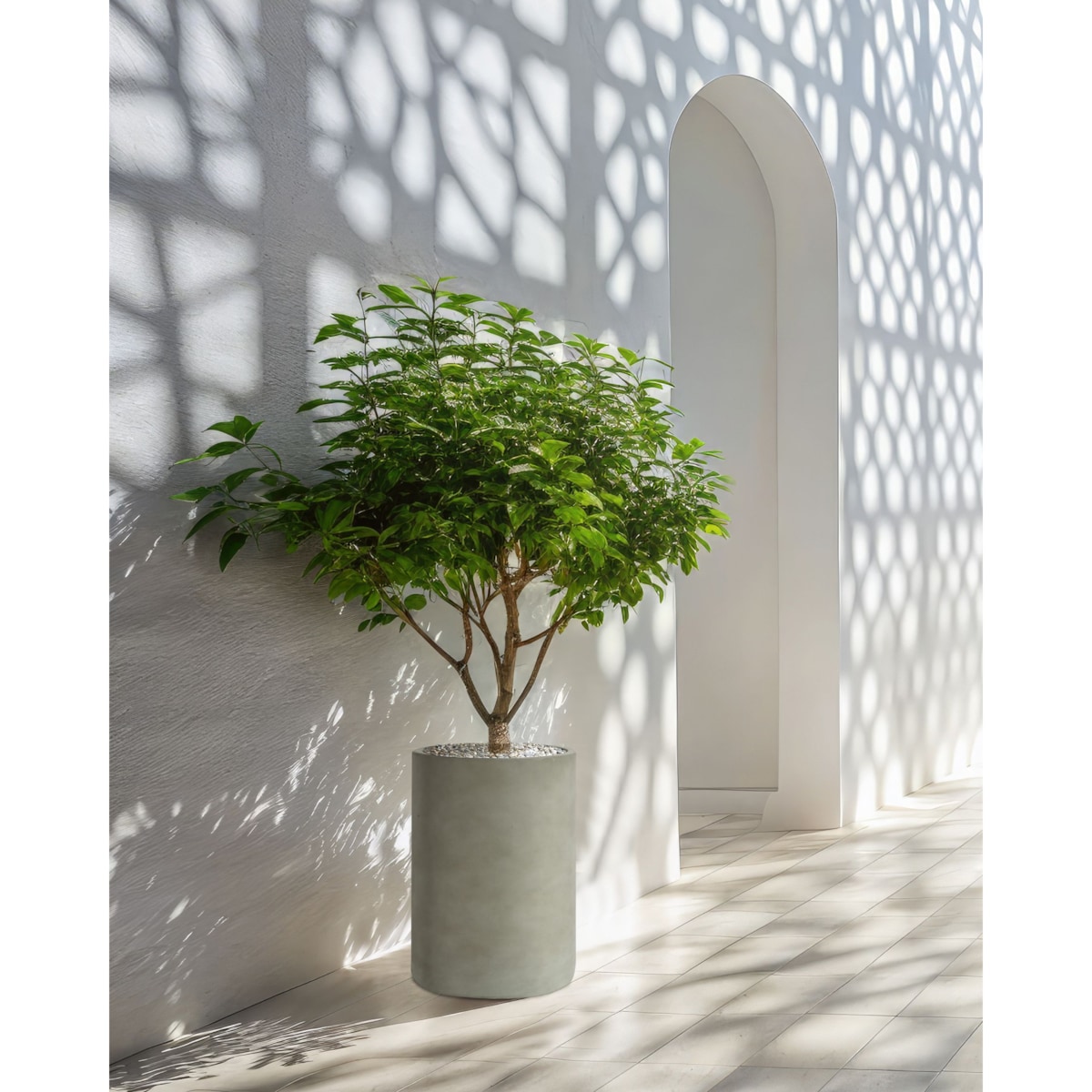 Doniczka 36 x 36 x 51 cm szara EUCOMMIA