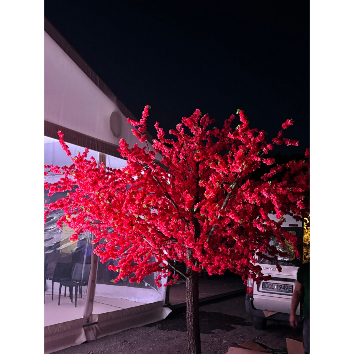 Drzewo kwitnącej wiśni 350 cm x 350 cm - olbrzymie