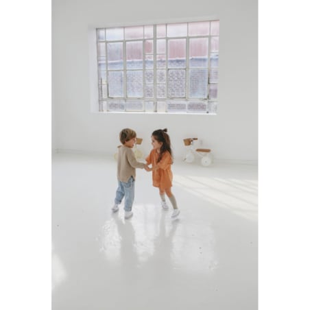 Banwood Rowerek trójkołowy Trike White