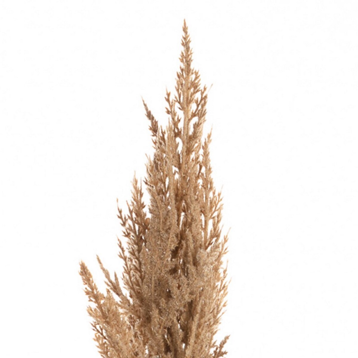 Gałązka Trawy Pampasowej 90cm beige, 8 x 8 x 90 cm