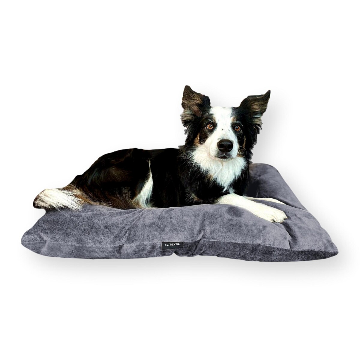 Miękka poduszka dla psa MALIBU, 60x50 cm, Grafit